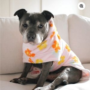 Darren and Phillips dog robe. Never worn. NWT